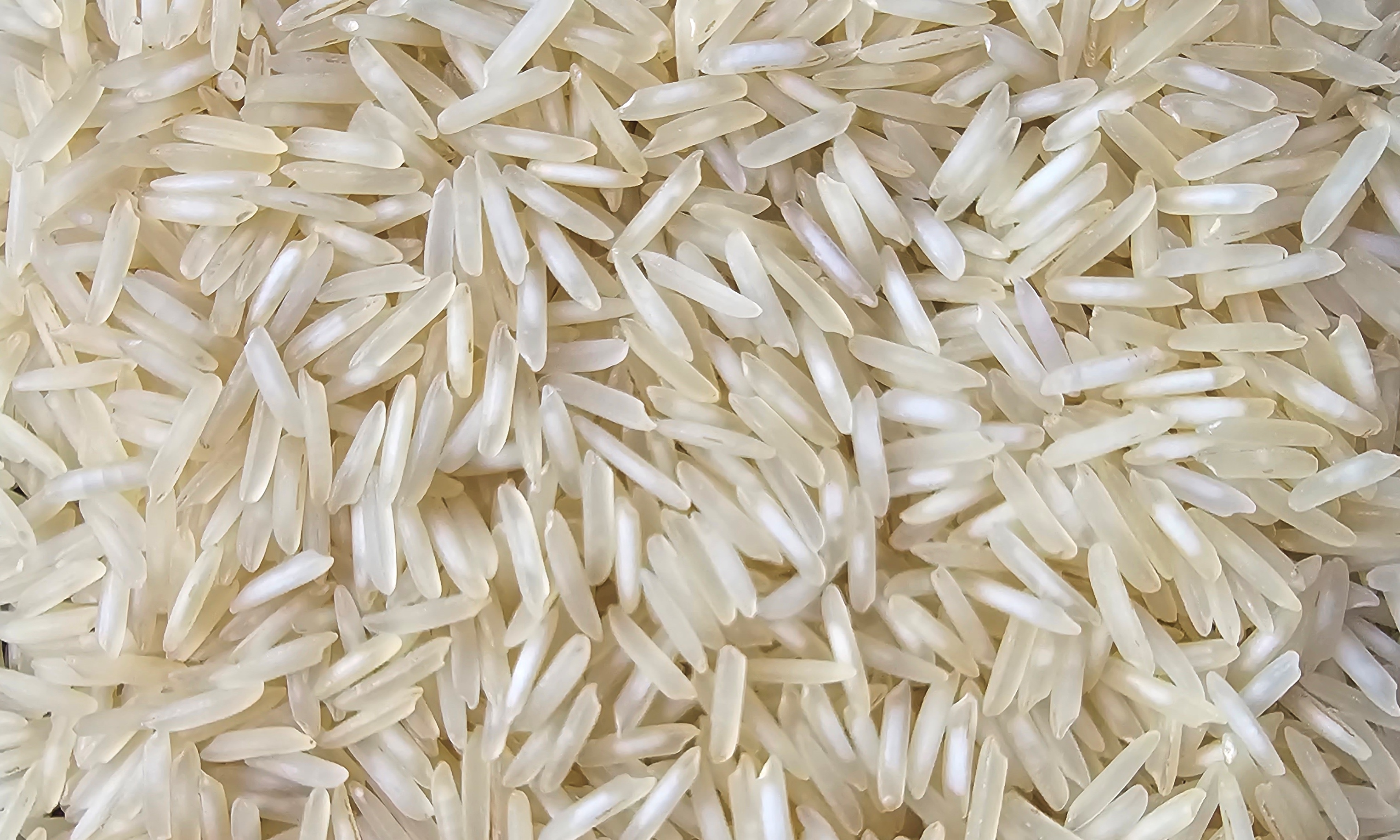 1121 Pesticide Residue Free Steam Rice